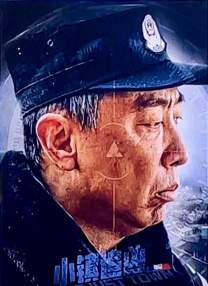 国产成人h
